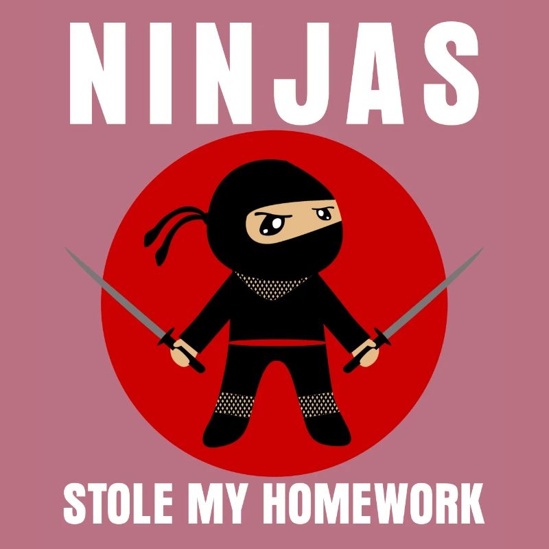 École de devoirs Ninja Ninjas