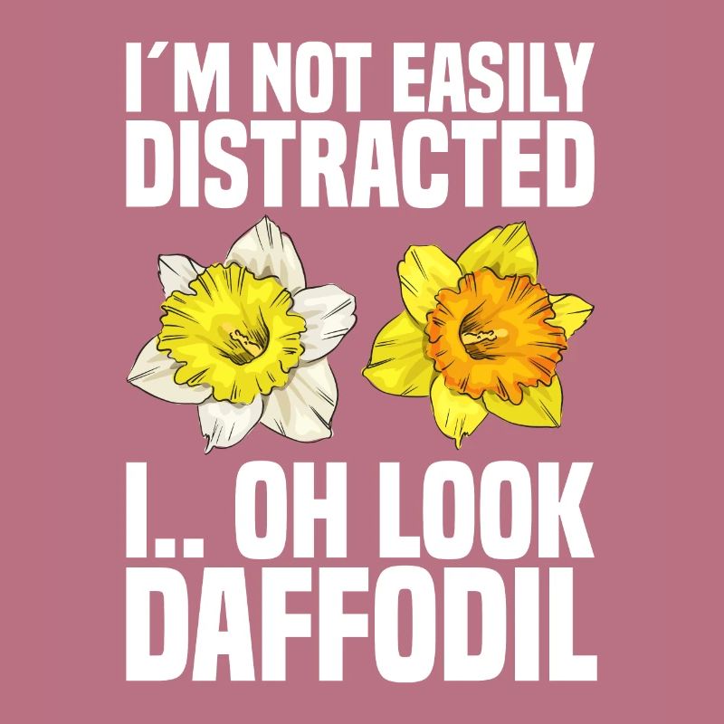 Daffodils Flower Daffodil Daffodils