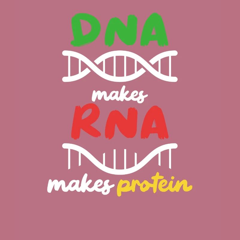 Aus DNA wird RNA wird Protein