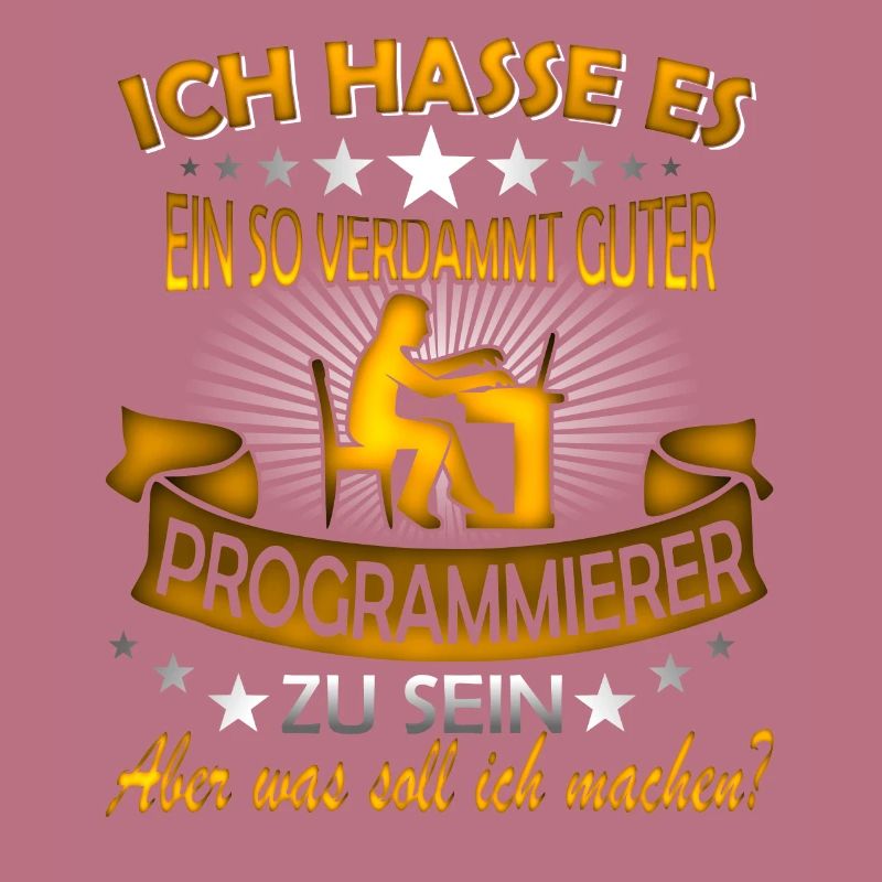 Software Ingenieur Informatiker Programmierer