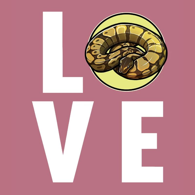 Ball Python Roi Python Roi Python