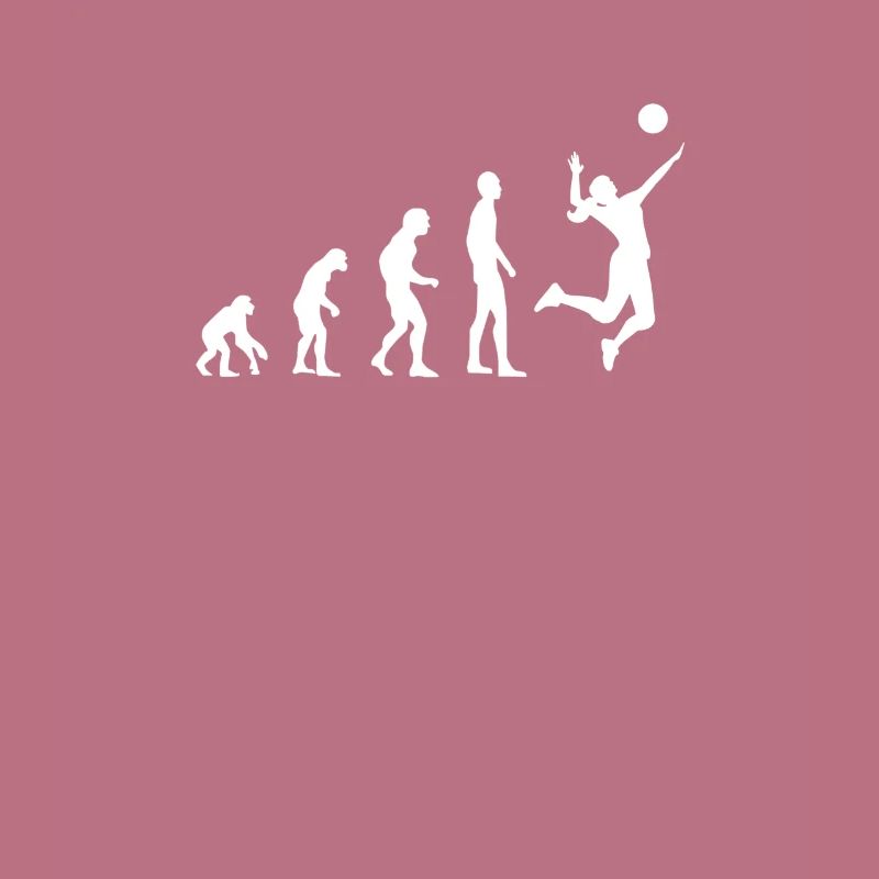 Évolution du volleyball