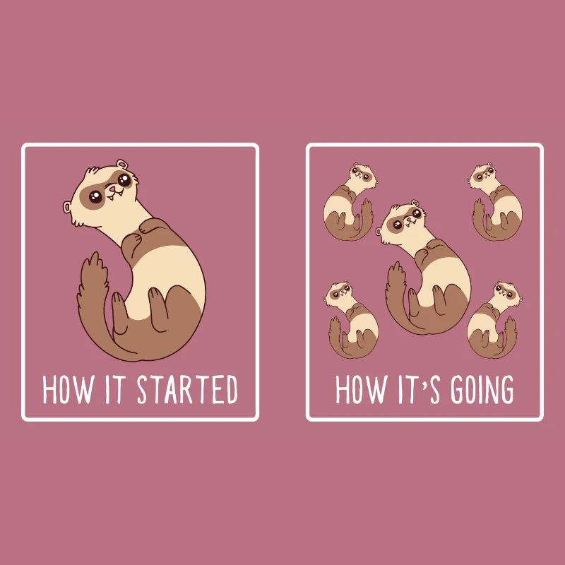 How It Started How It's Going Funny Cute Weasel Fe