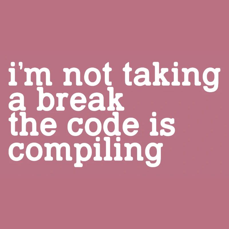 I'm Not Taking A Break, The Code Is Compiling
