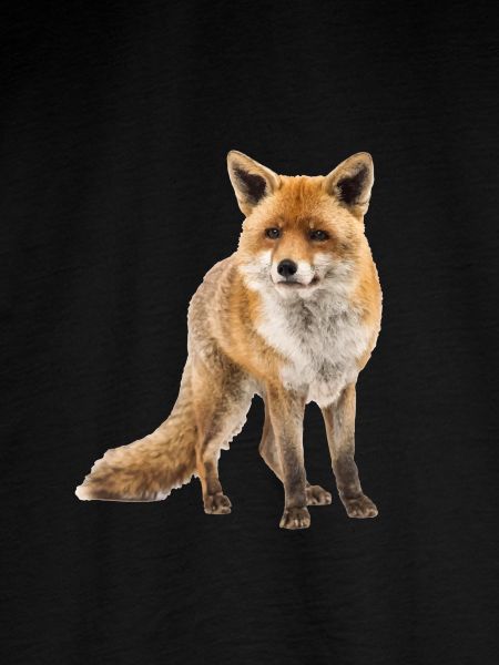 Fuchs