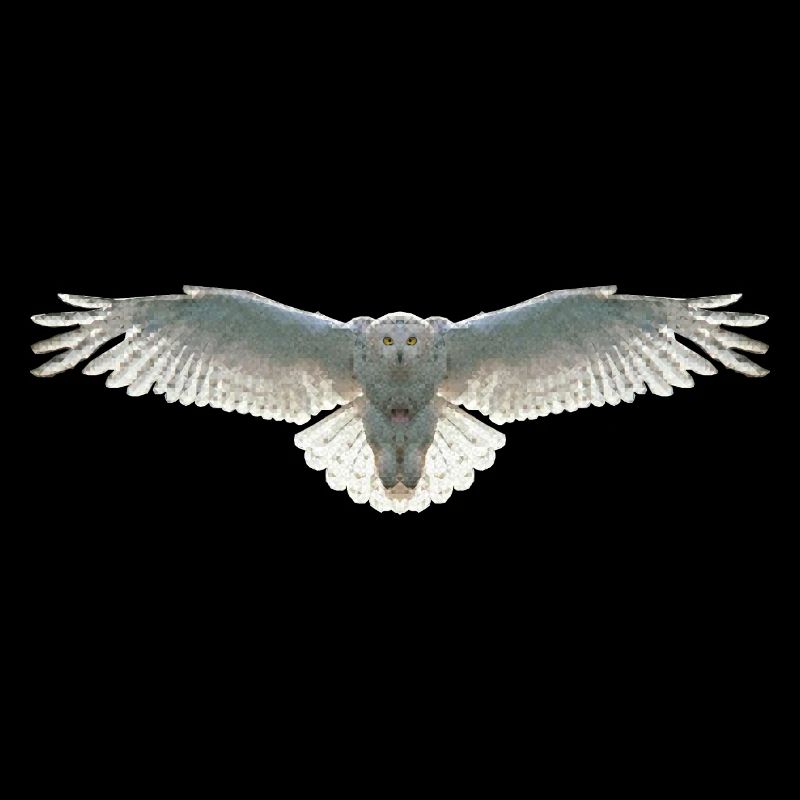 Schneeeule Eule Polygon Vogel Tier Wildtier Uhu