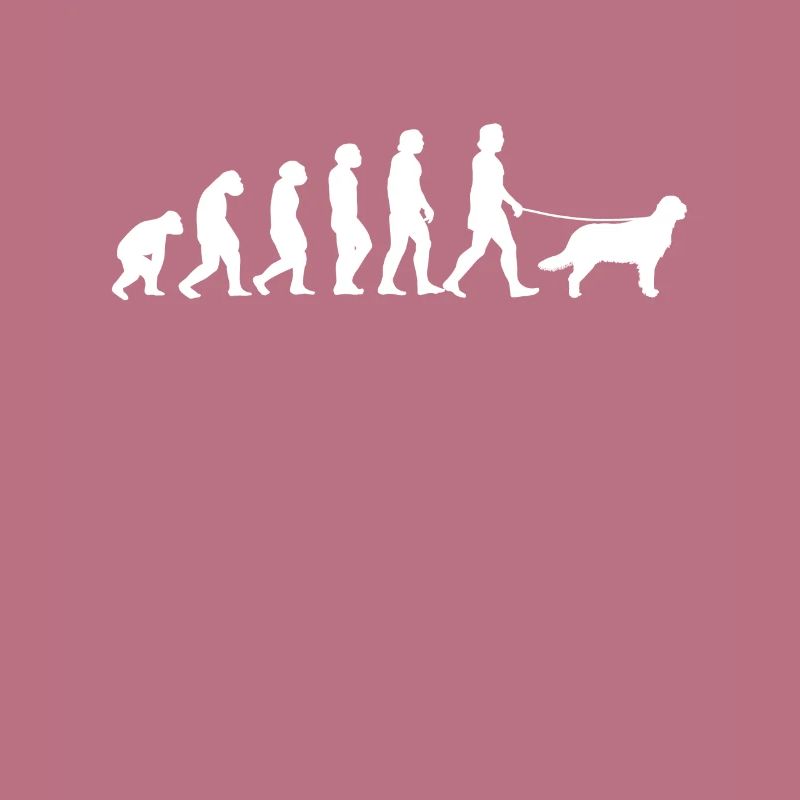 Flat Coated Retriever Evolution Cadeau
