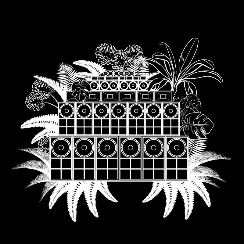 Jungle sound system
