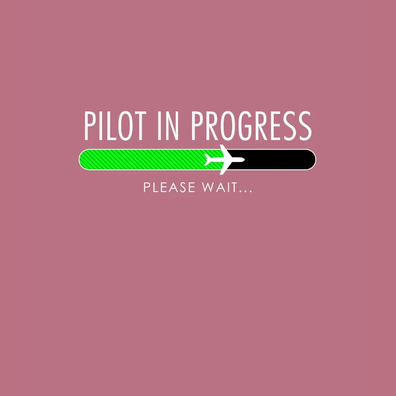 Pilot In Progress Pilot Training Flight School