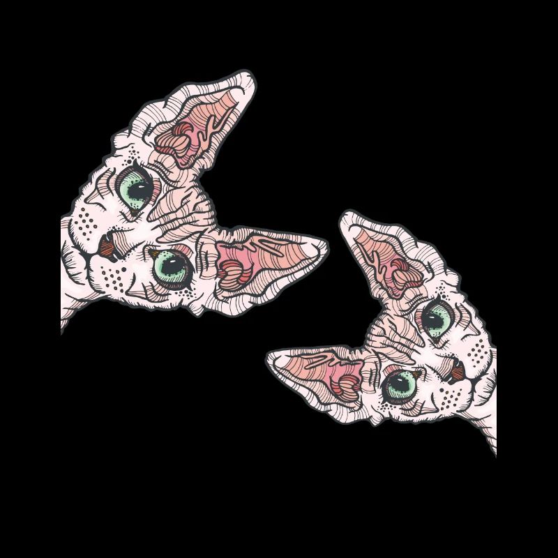 Sphynx chat