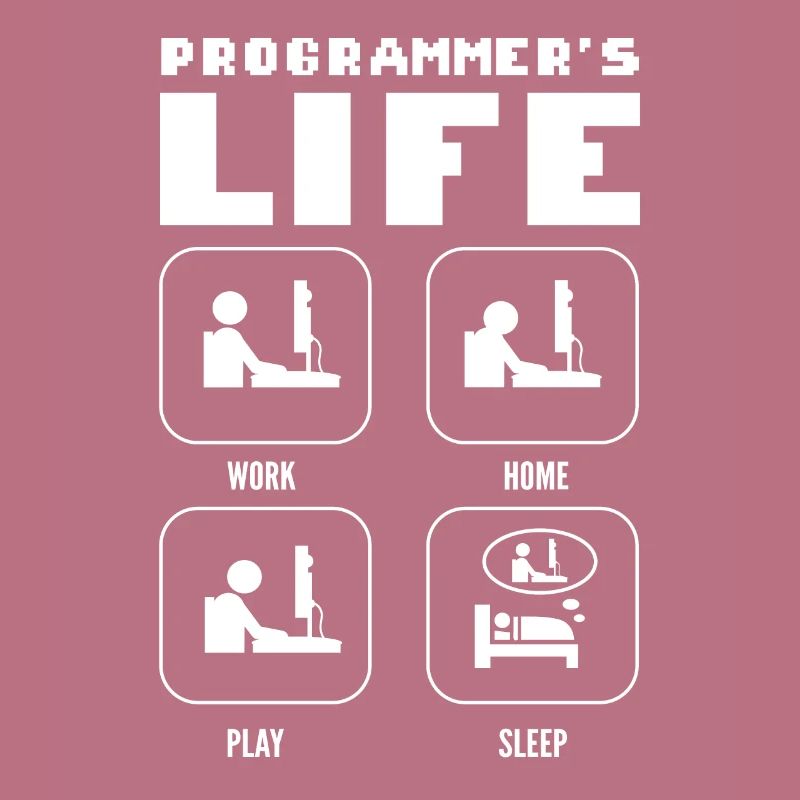 Programmers Life. Work Home Play Sleep Programming