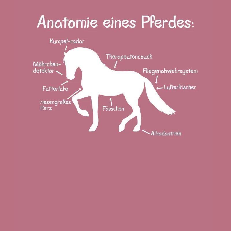 Anatomie eines Pferdes
