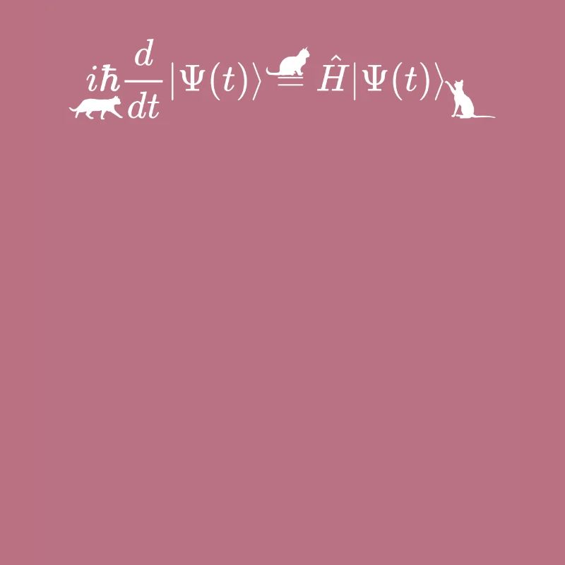 Schrodinger cats math and physics formula equation