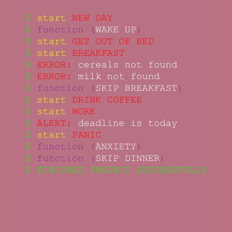 Programmer joke code function method