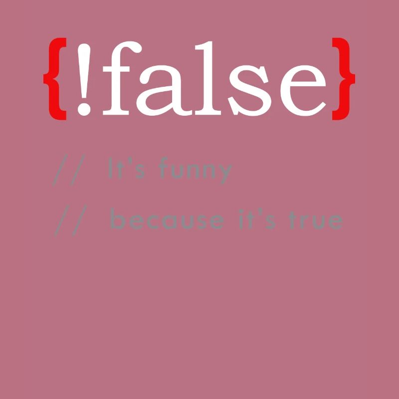 False It's Funny Because It's True Funny Programmi