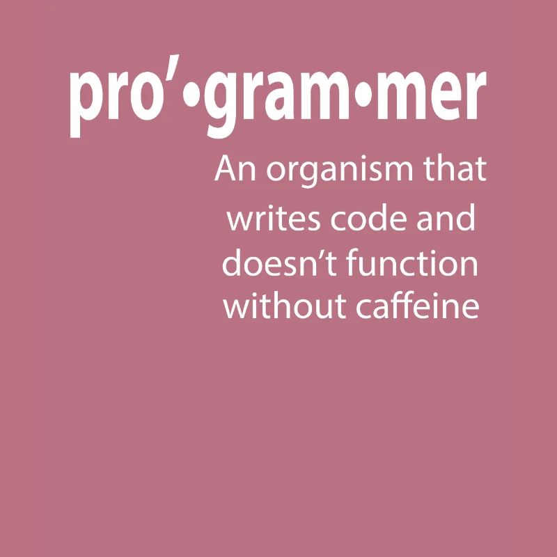 Programmeur - Coder - Hacker - IT