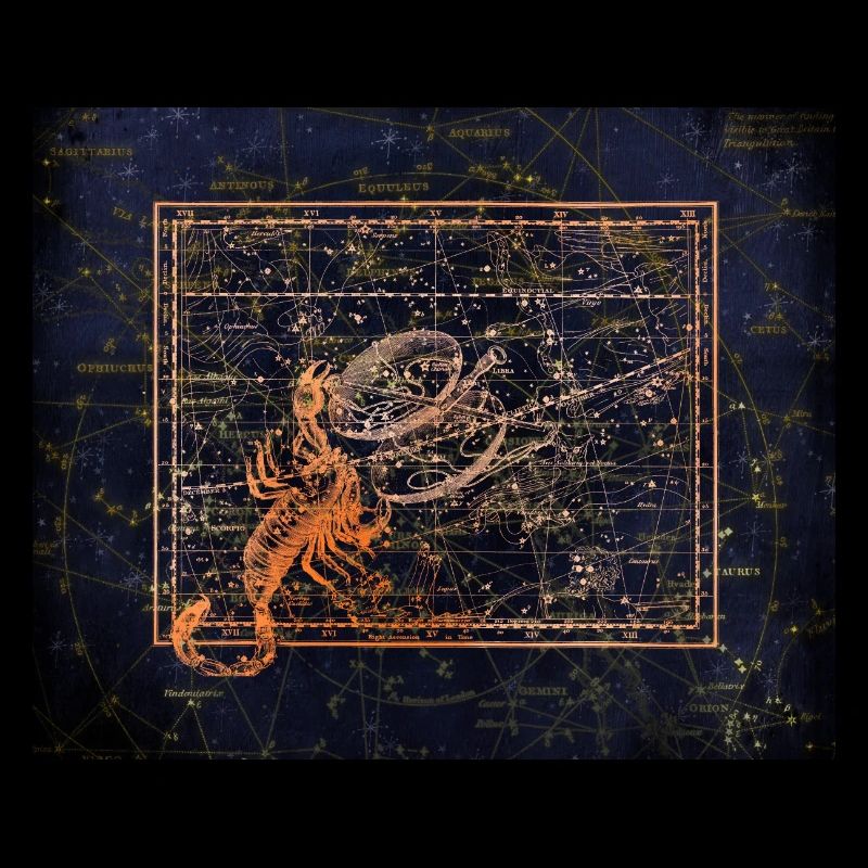 Scorpion