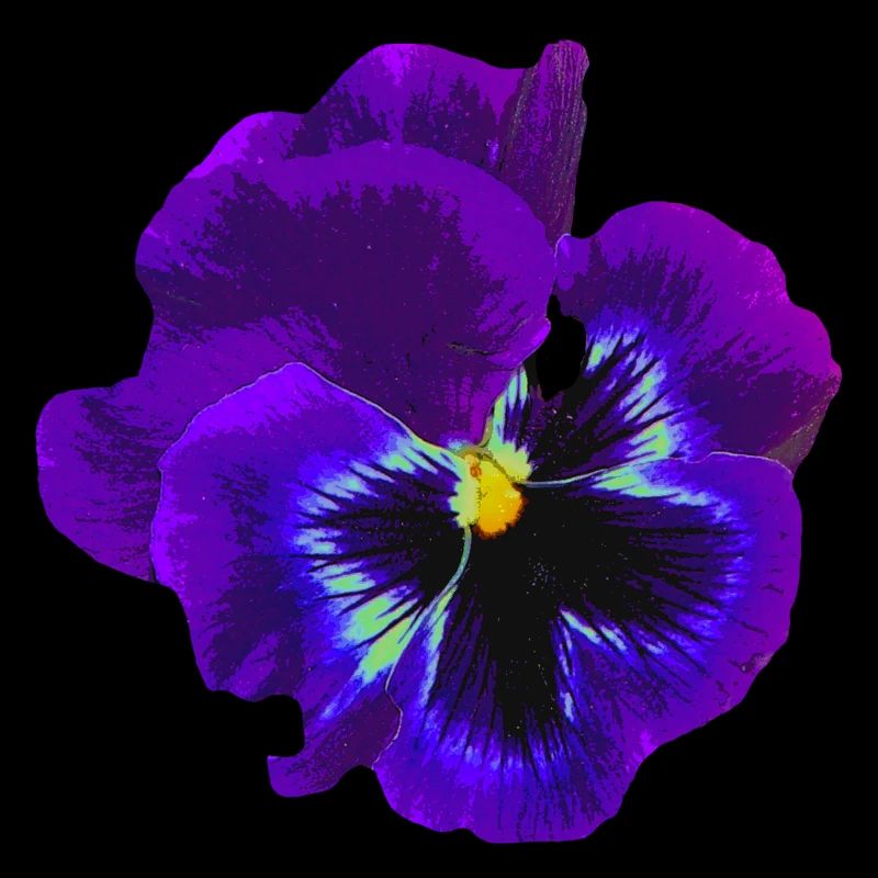 Das violette Denken