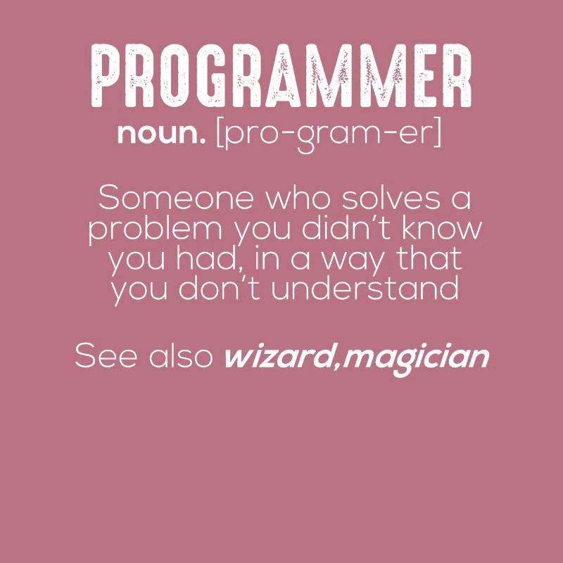 Funny Programmer Meaning