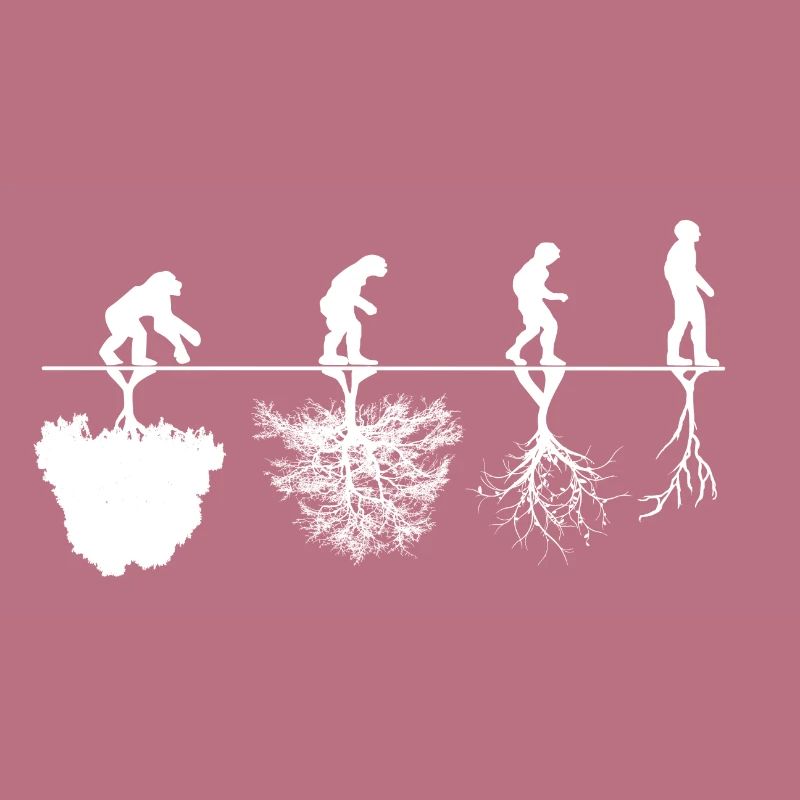 Critique d'évolution