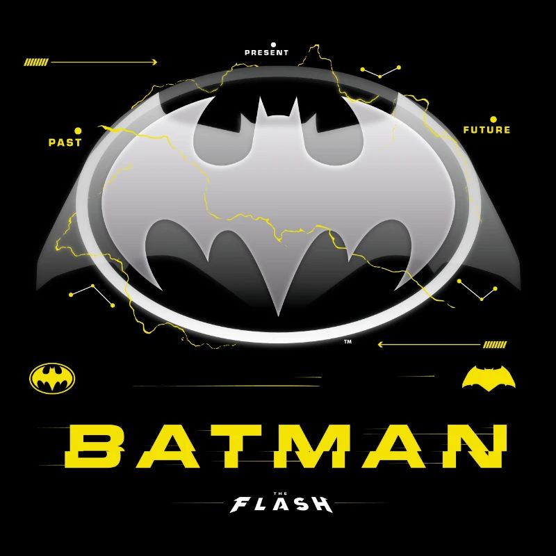 The Flash Klassisches Batman-Logo In Grau