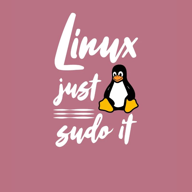 Linux juste sudo it