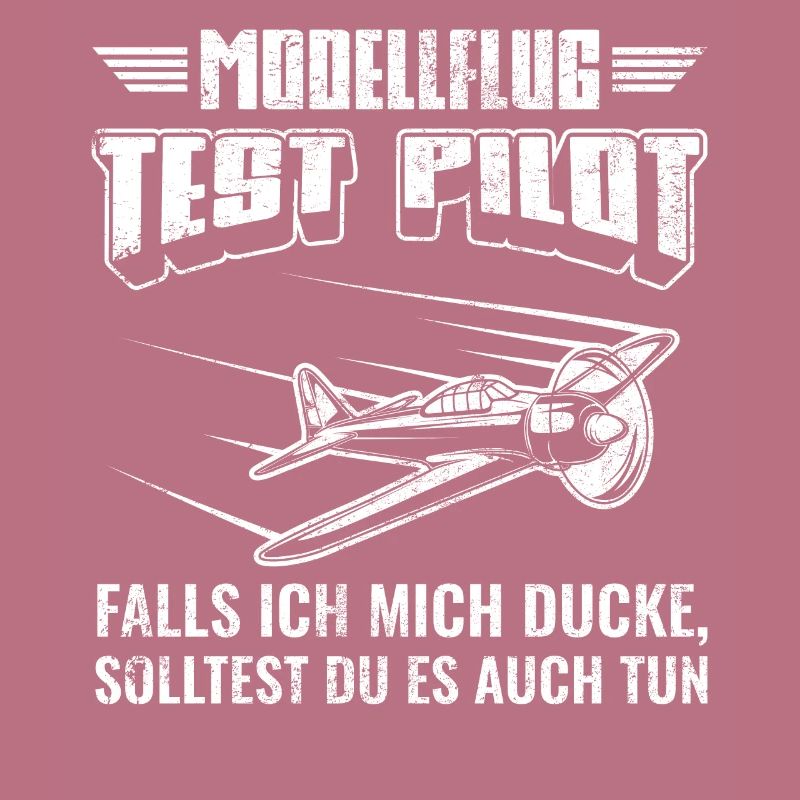 Modellflugzeug Flieger Flugzeug Pilot Modellflug