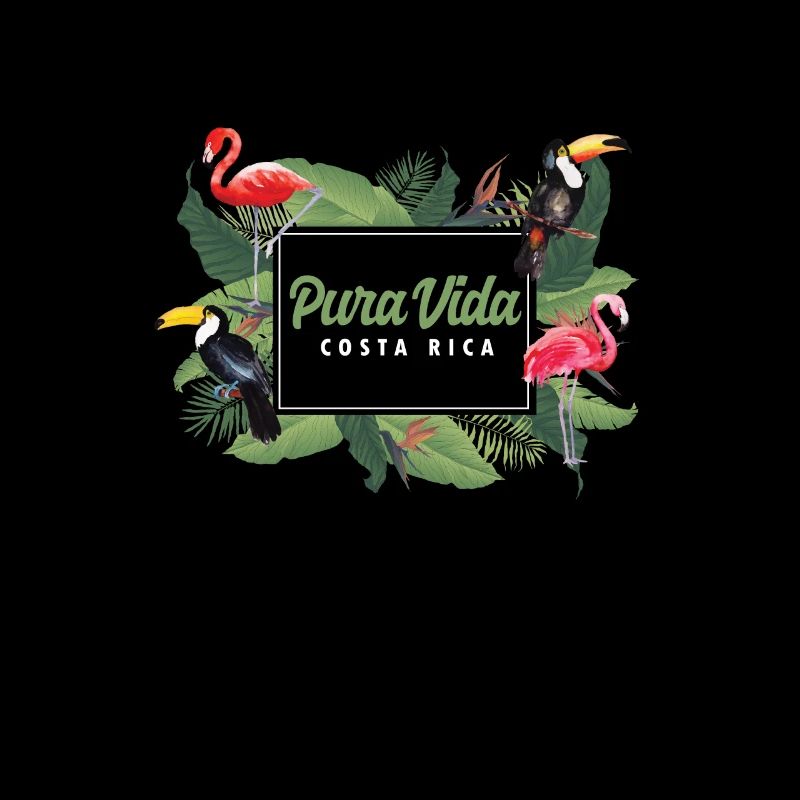 Animaux Pura Vida Flamingo Faune Plages Costa