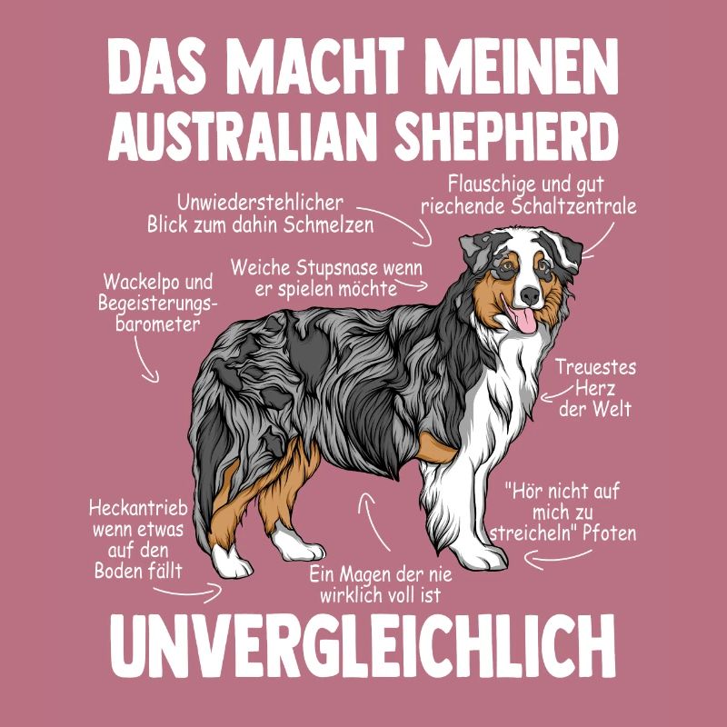 Australian Shepherd Aussie