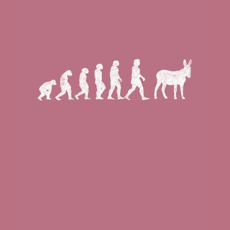 Esel Maultiere Maultier Mulis Evolution