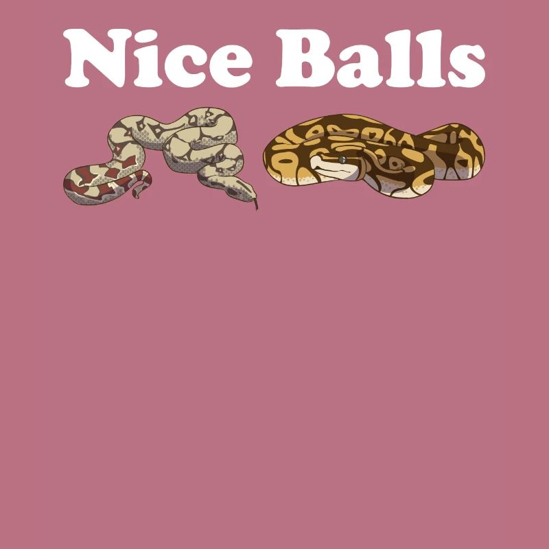 Funny Ball Python Snake