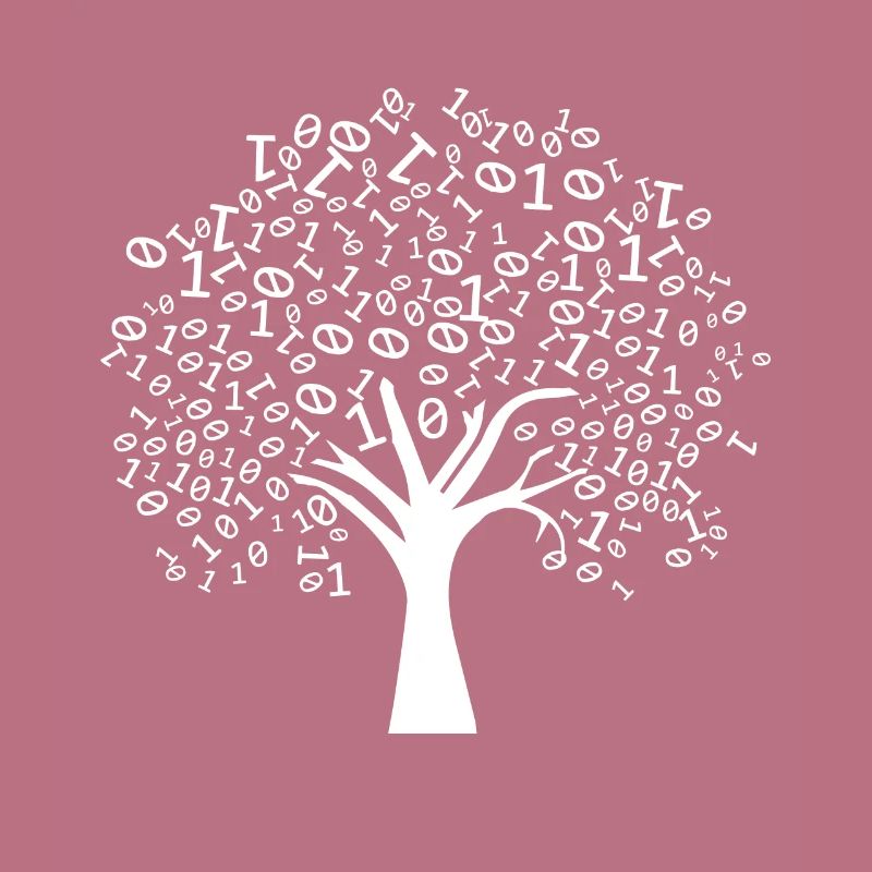 Programmierer Binärer Baum