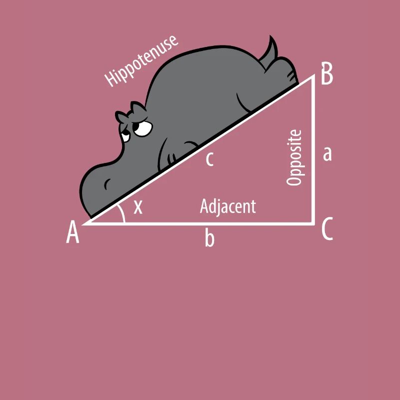 Mathe Pythagoras Hypothenuse Nilpferd Hippo