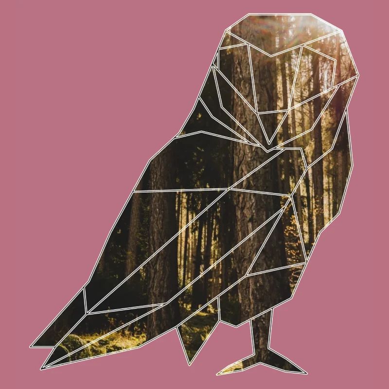 Die Eule im wald