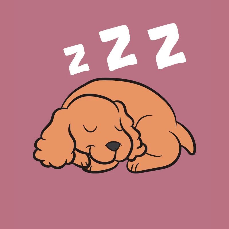 Cocker Spaniel Hund Schlafen Pyjama Cocker