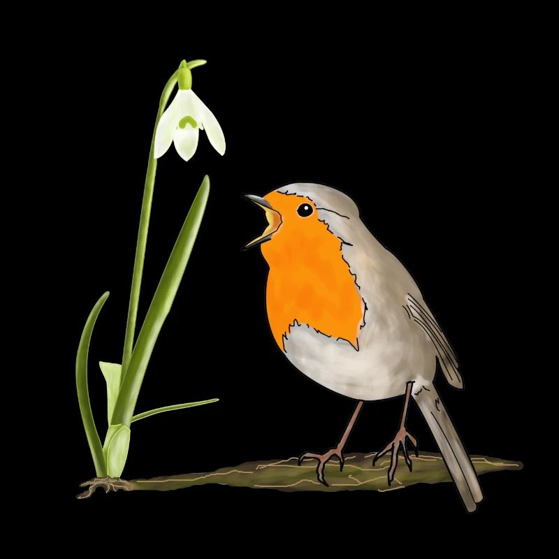 Spring, robins, snowdrops