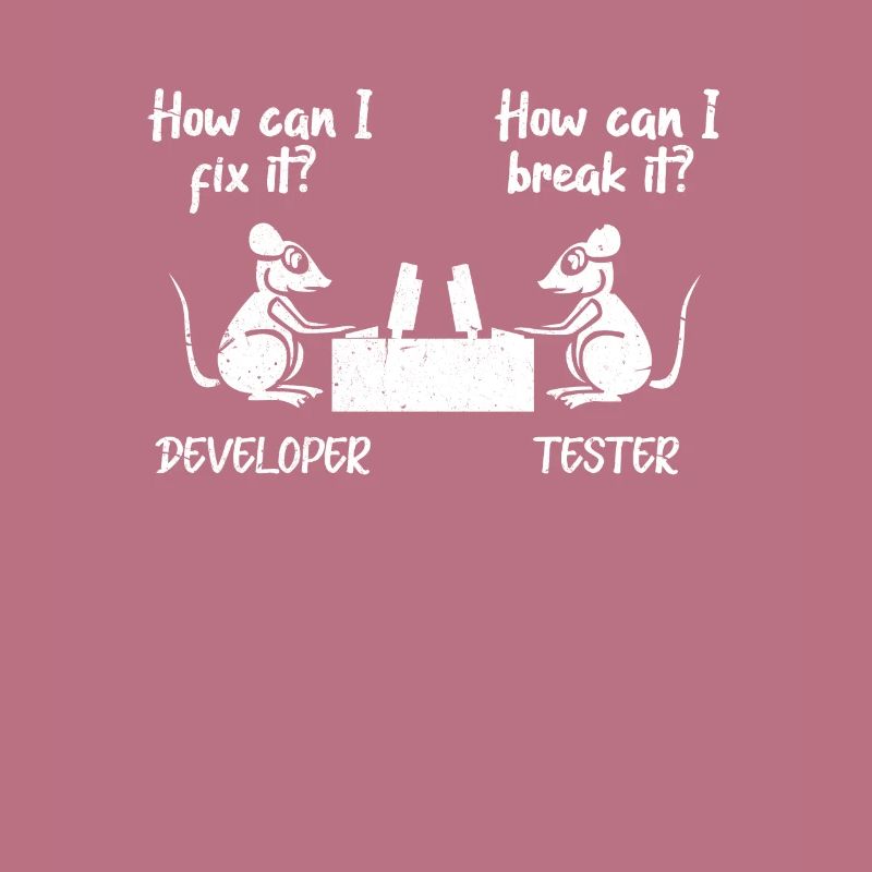 software developer