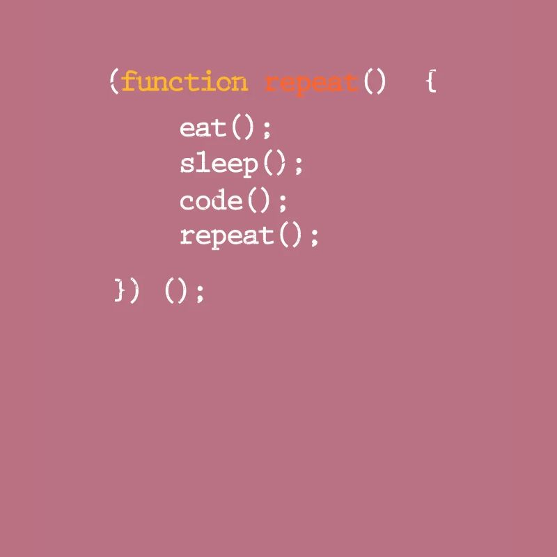Programmeur Coder Programmer Informatique Geek