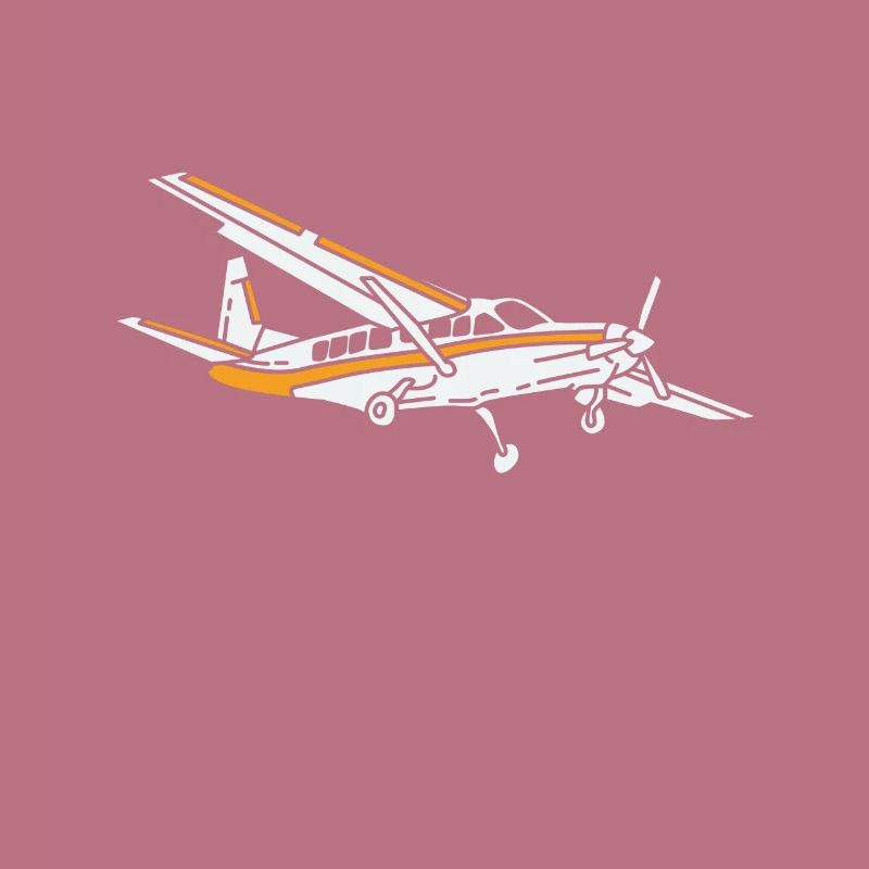 Propeller plane Aviator pilot plane