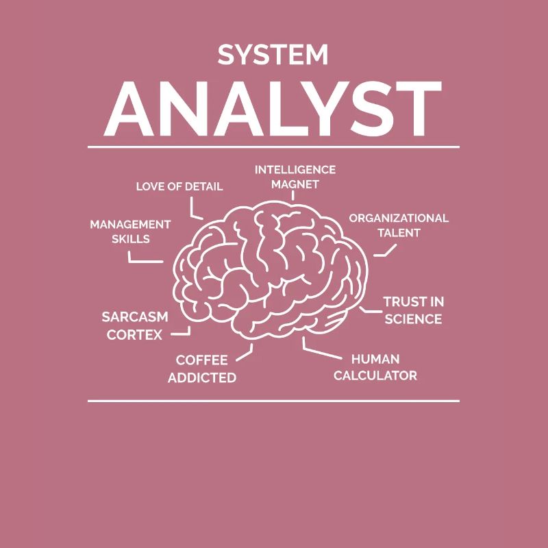 Analyste de systèmes