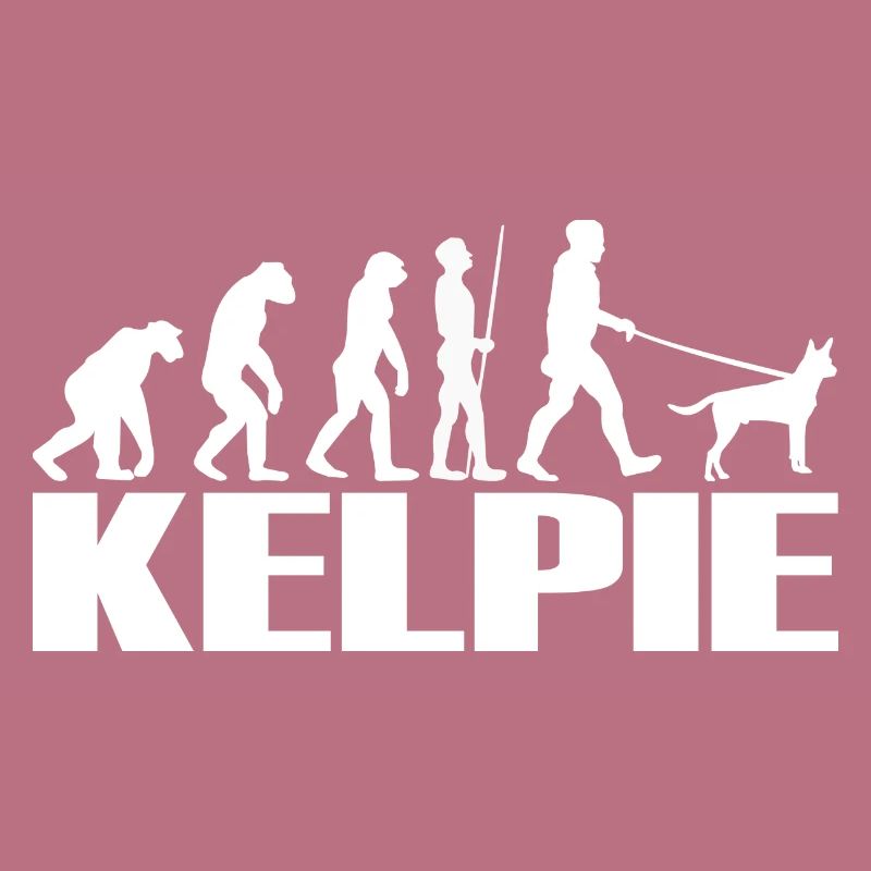 Kelpie Australian Hunde Evolution