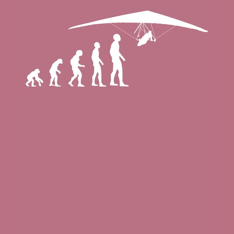 Hang Gliding Hang Gliding Evolution Funny