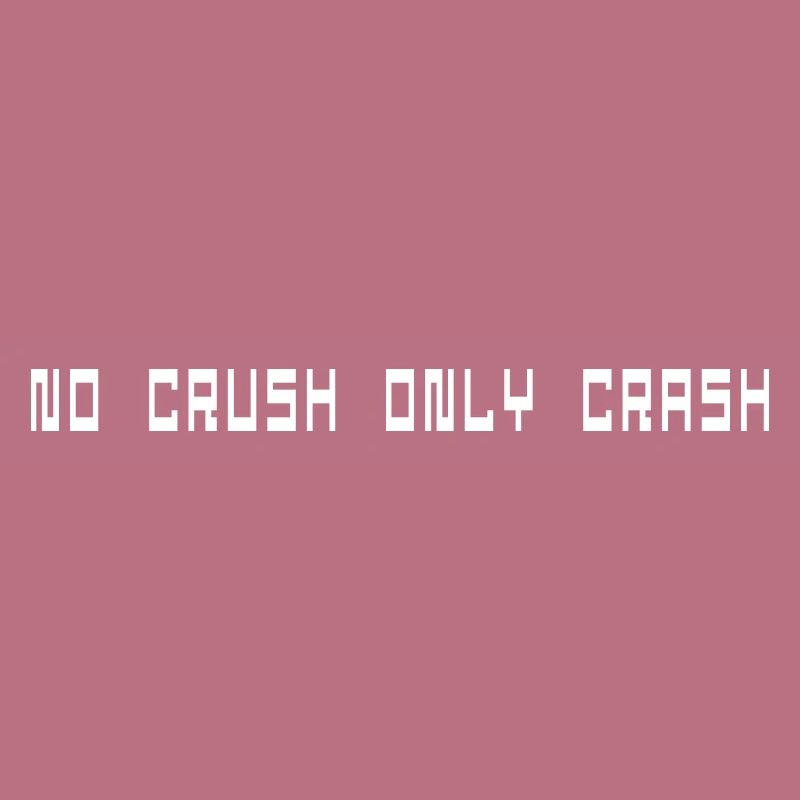 No crush only crash computer scientist gift