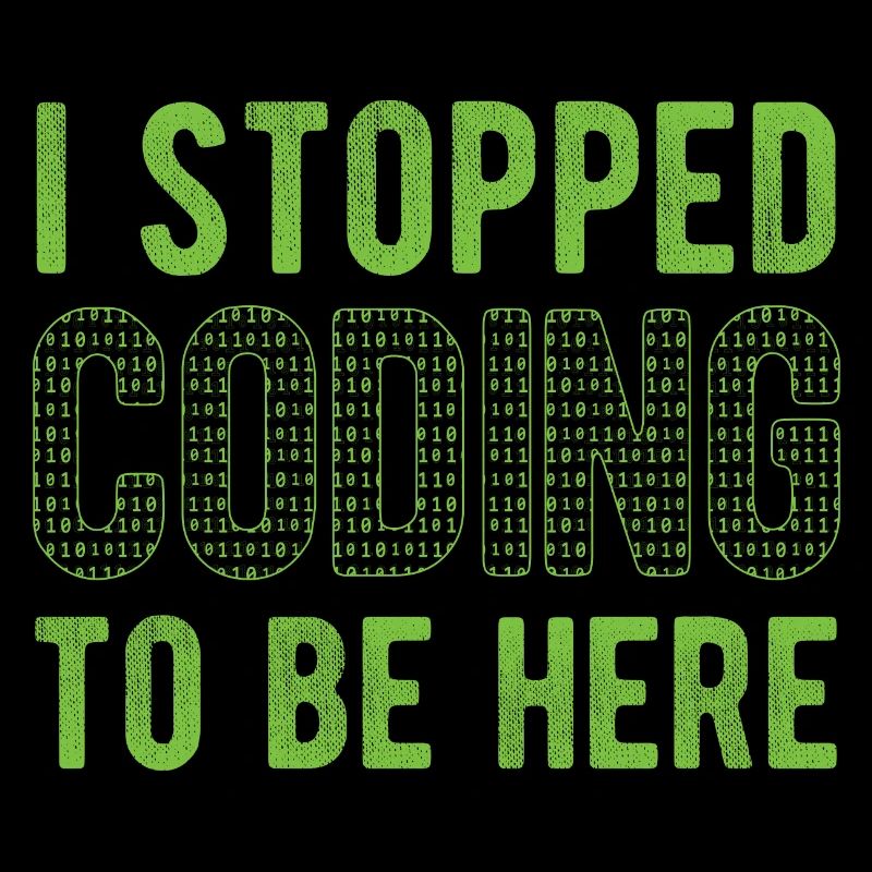 Software Ingenieur Informatiker Programmierer