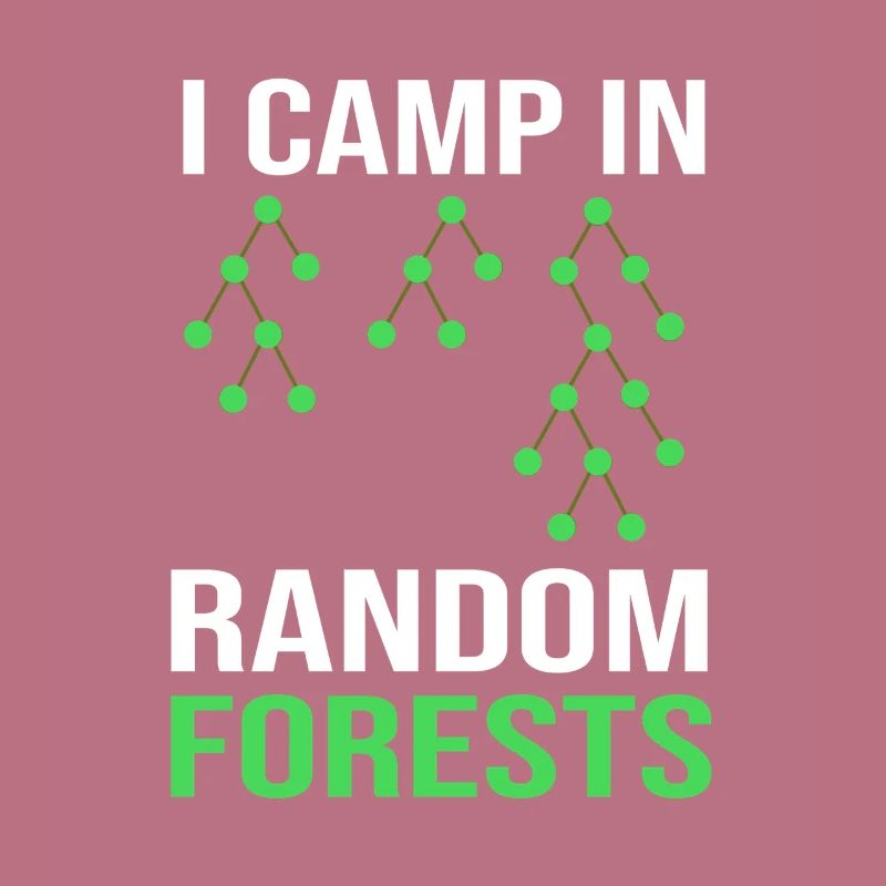 Programmeur Codeur GPT