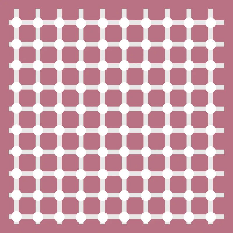 Hermann grid perception illusion optics gift