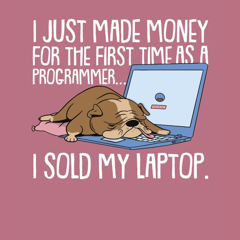 Programmer Coder Software Developer