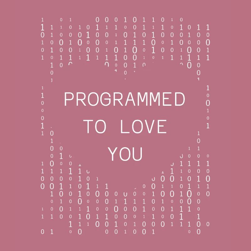 Programmeur Codeur développeur