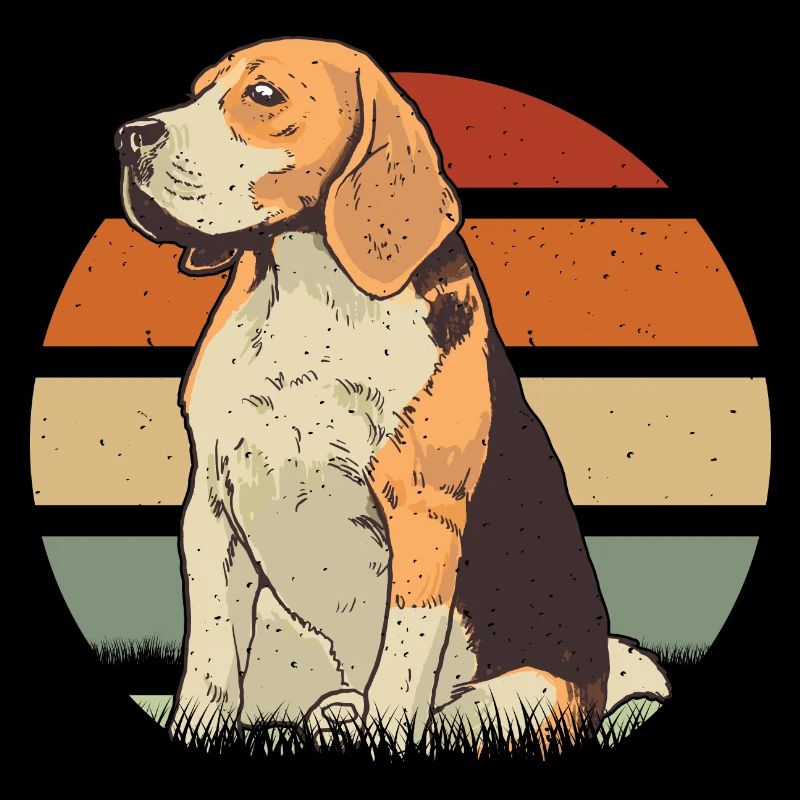 Beagle Zeichnung Beagle Hund