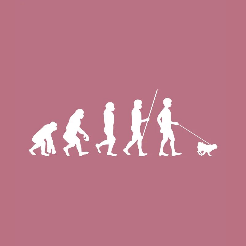 Evolution Pug